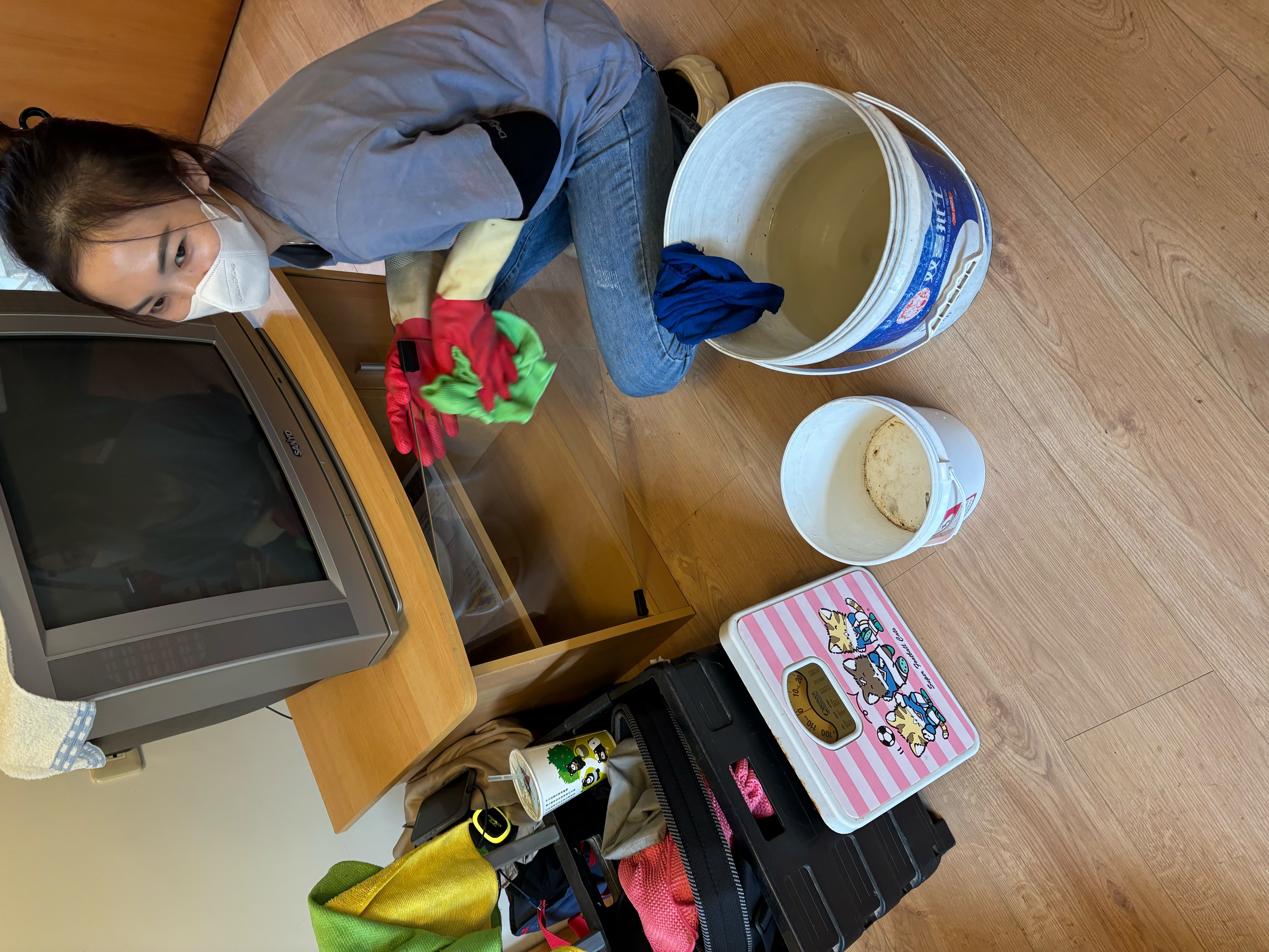 台中市外埔區豪宅莊園細清